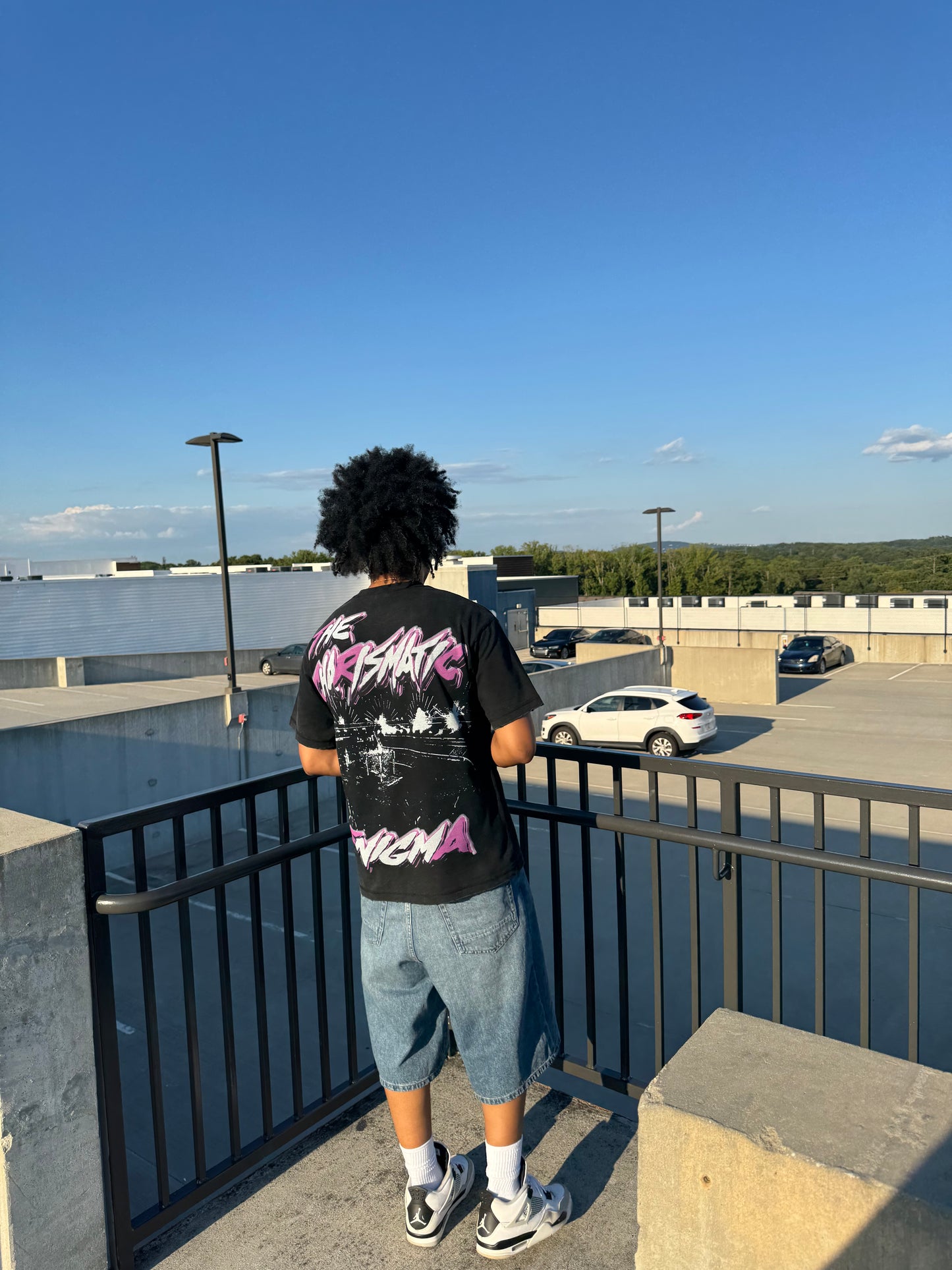 Jeff Hardy T-Shirt